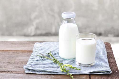 Sữa giàu canxi rất dễ hấp thụ cho người bệnh xương khớp